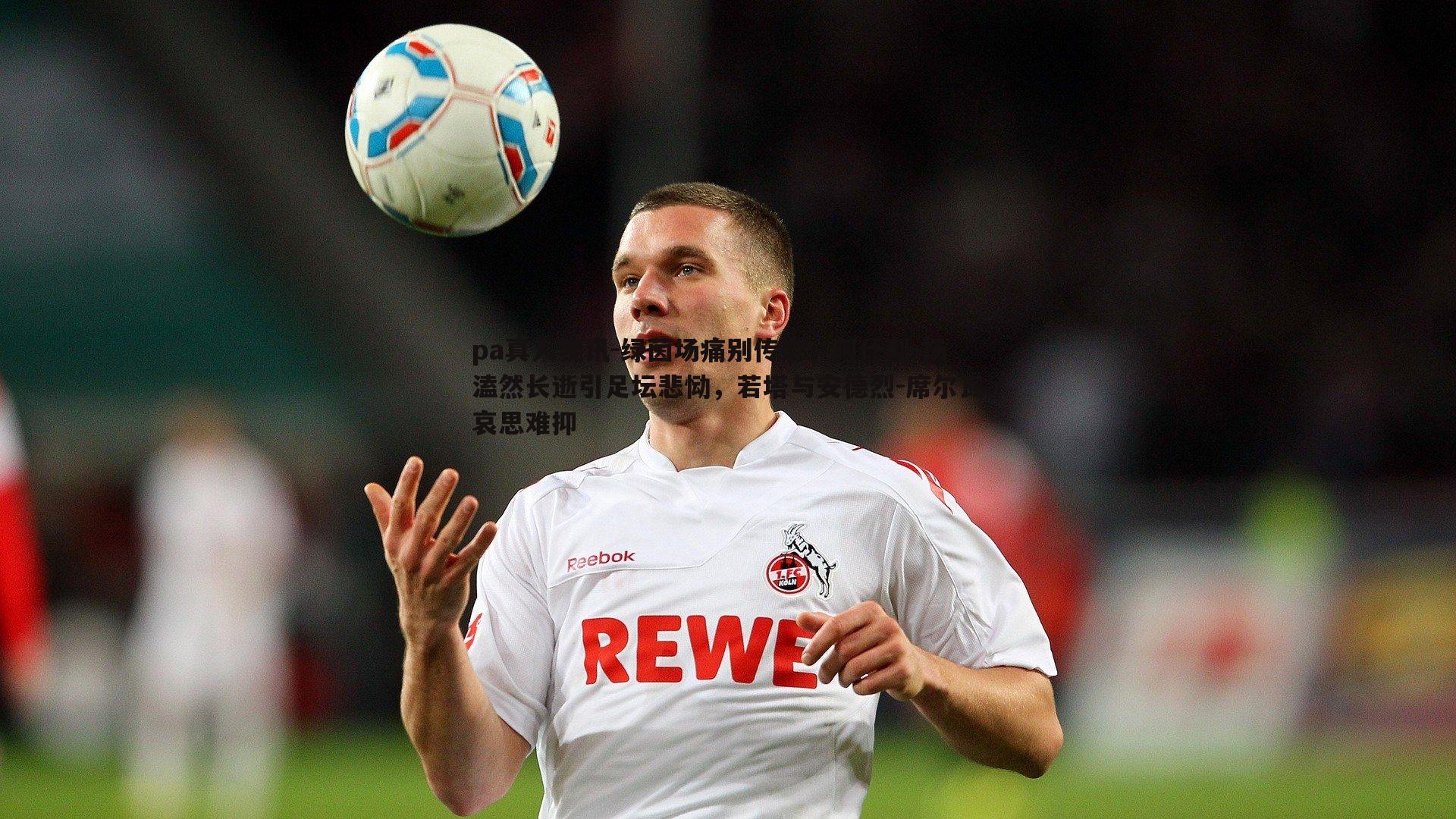 pa真人视讯-绿茵场痛别传奇，阿什利-扬溘然长逝引足坛悲恸，若塔与安德烈-席尔瓦哀思难抑